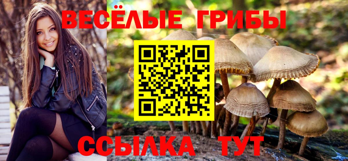 Псилоцибиновые грибы прущие грибы Мыски