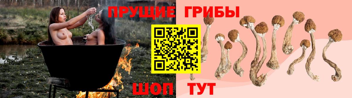 Мыски  Псилоцибиновые грибы ЛСД  закладки  Вход с VPN  Псилоцибиновые грибы мухоморы 